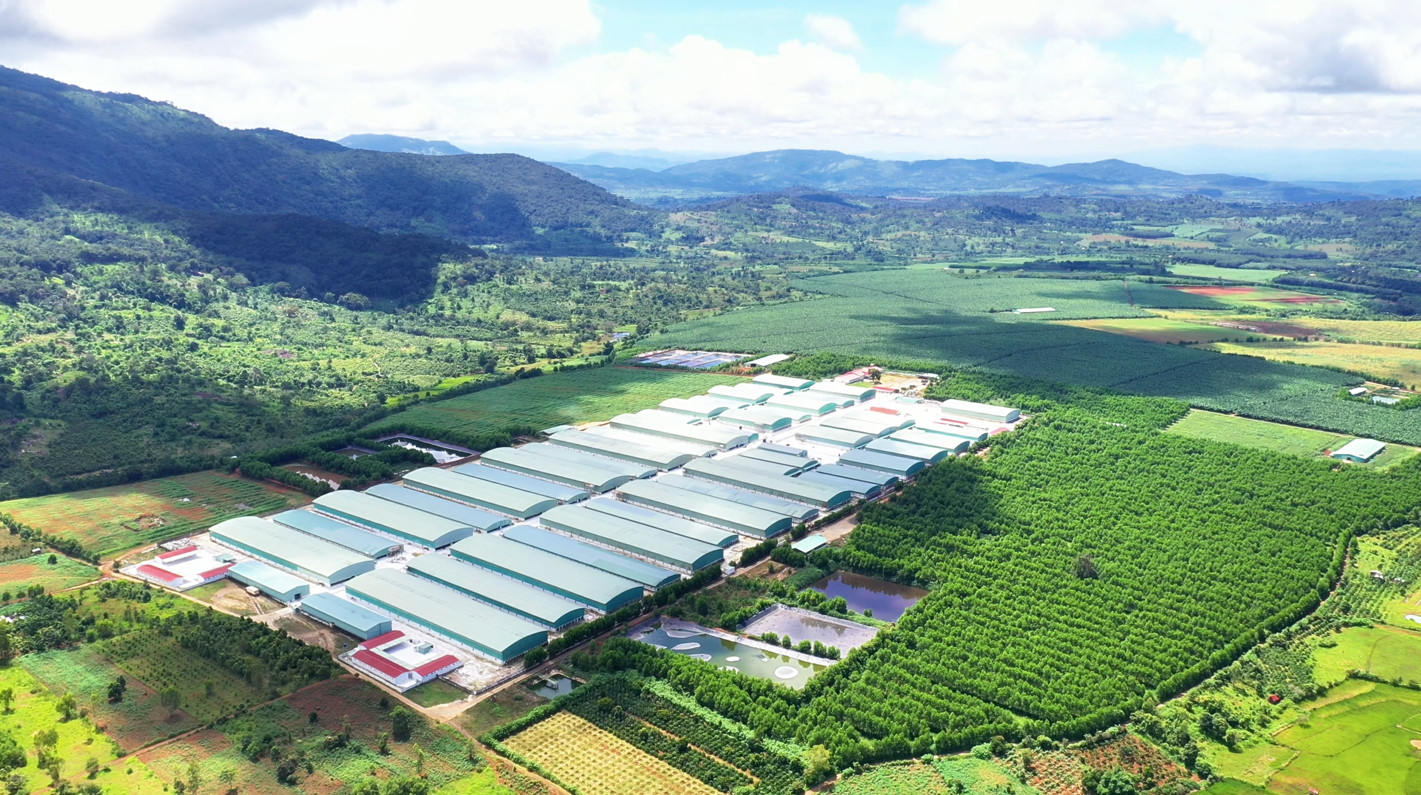 Hệ thống điện mặt trời áp mái